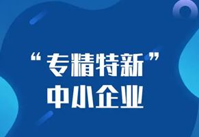 恩都模塑入库“.2024年度省级专精特新中小企业（第二批）”